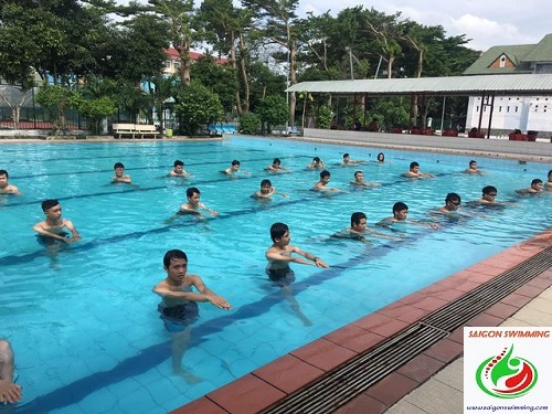  Hồ bơi Trung tâm Thể dục Thể thao quận 8